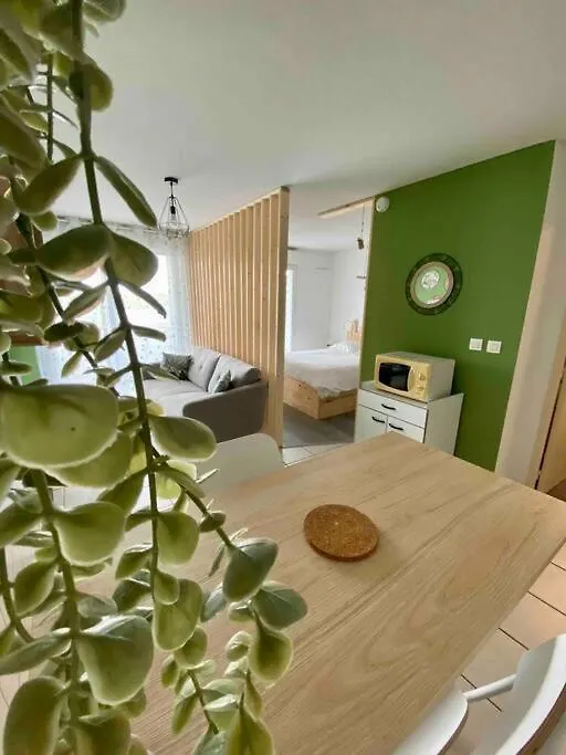 Le Porte Bonheur Vichy Appartement